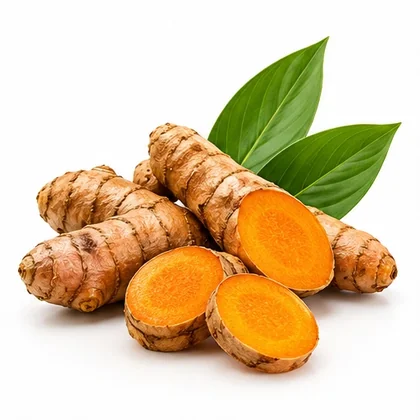 Cúrcuma<br>(Açafrão da Terra)